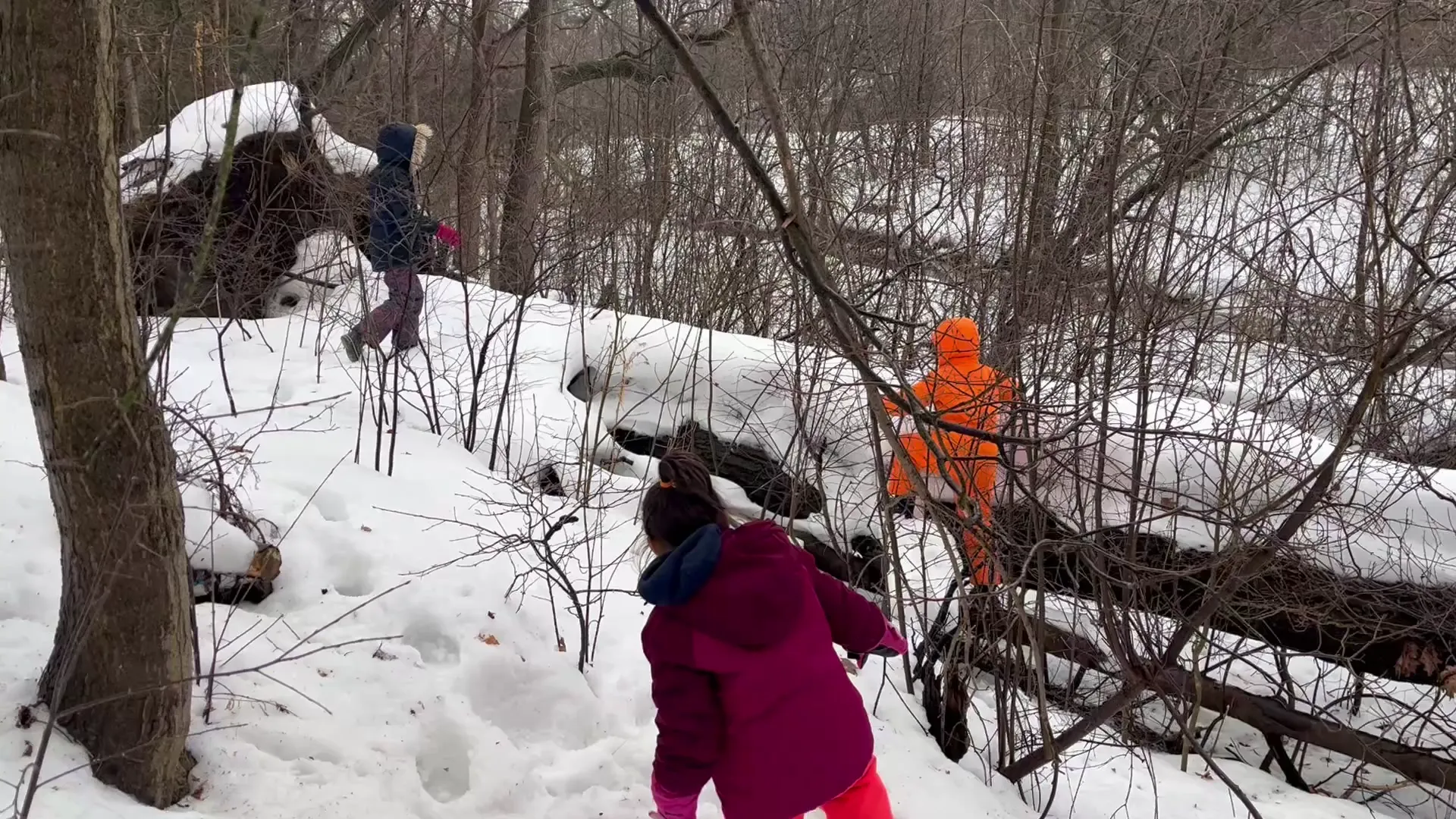 Child playing in forest